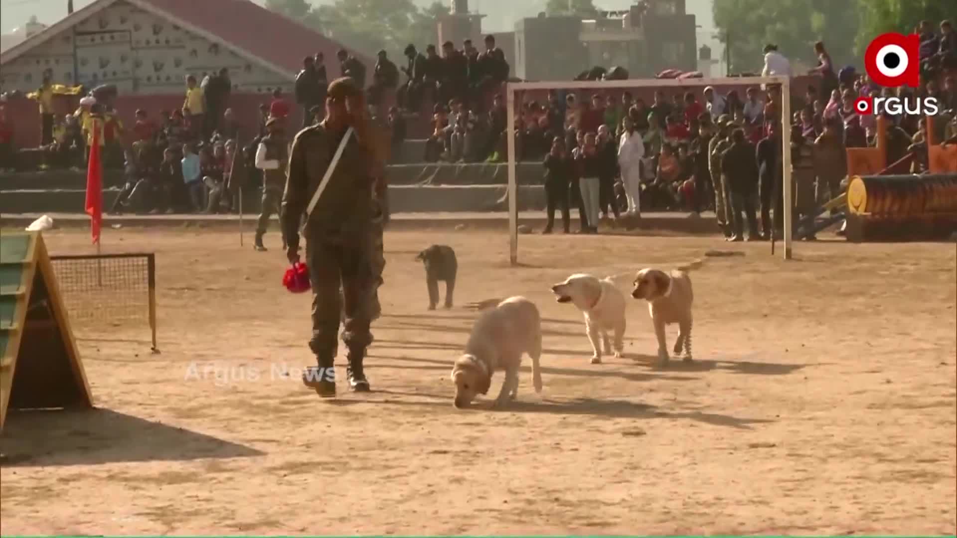 କାଶ୍ମୀରରେ ସେନାର ଡଗ୍ ସୋ ।