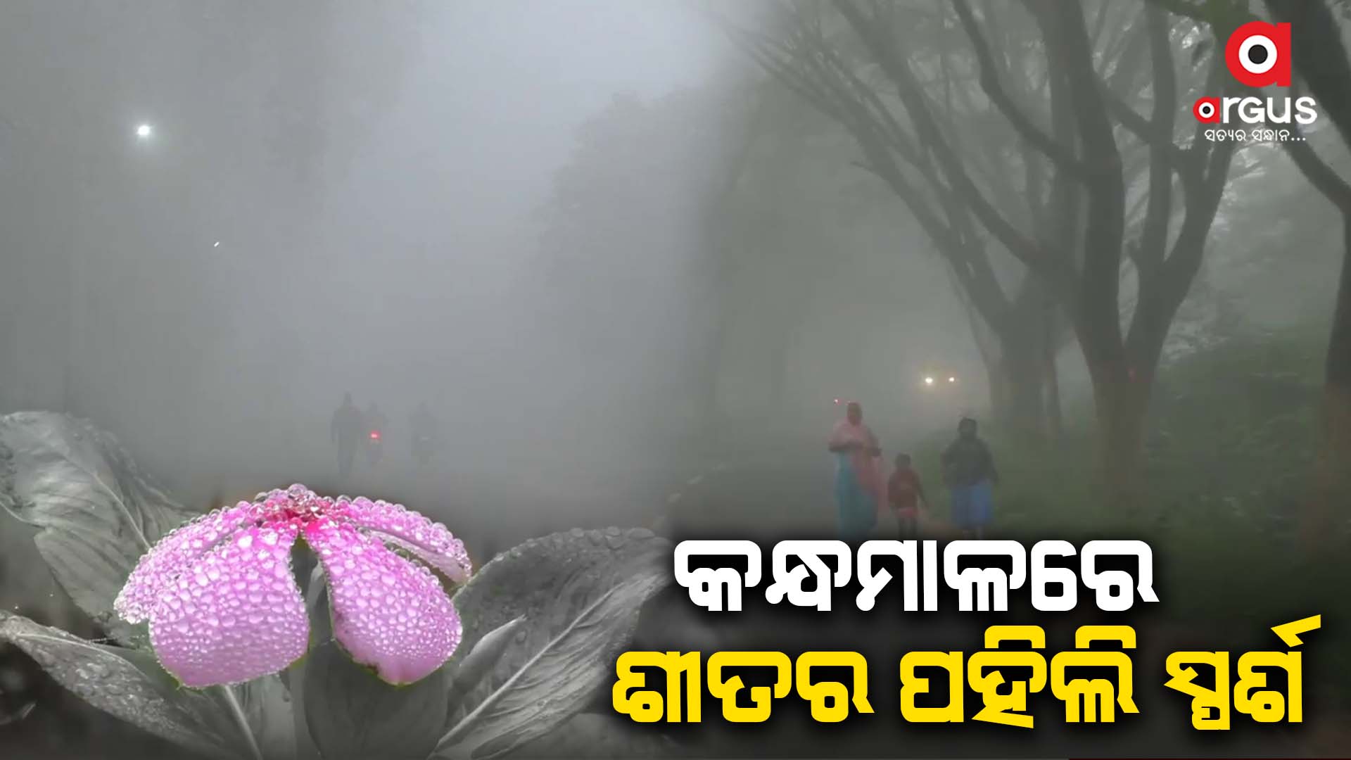 ପହିଲି ଶୀତର ମଜା ନେଉଛନ୍ତି ଲୋକେ