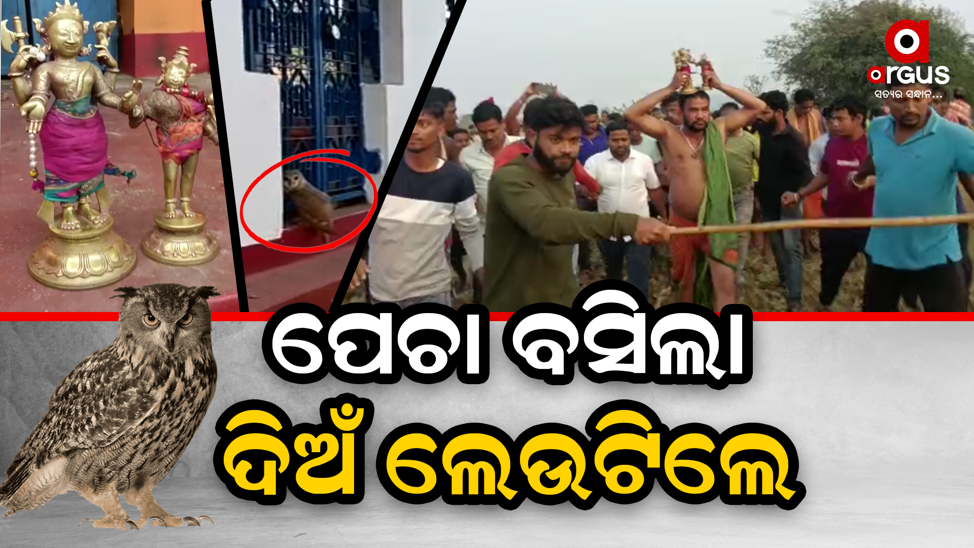 ପେଚା ବସିଲା ଦେଉଳକୁ ଲେଉଟିଲେ ଦିଅଁ