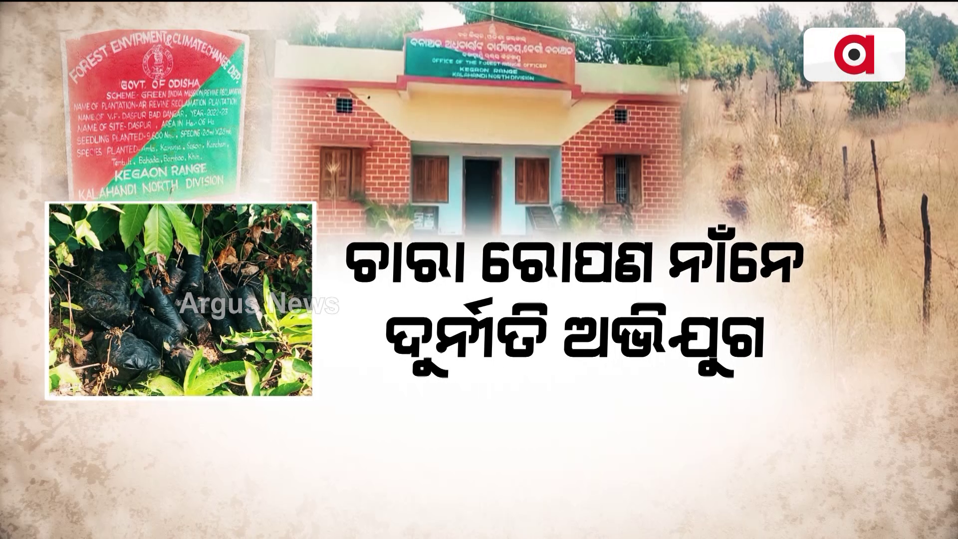 ଚାରା ରୋପଣ ନାଁନେ ଦୁର୍ନୀତି ଅଭିଯୁଗ !