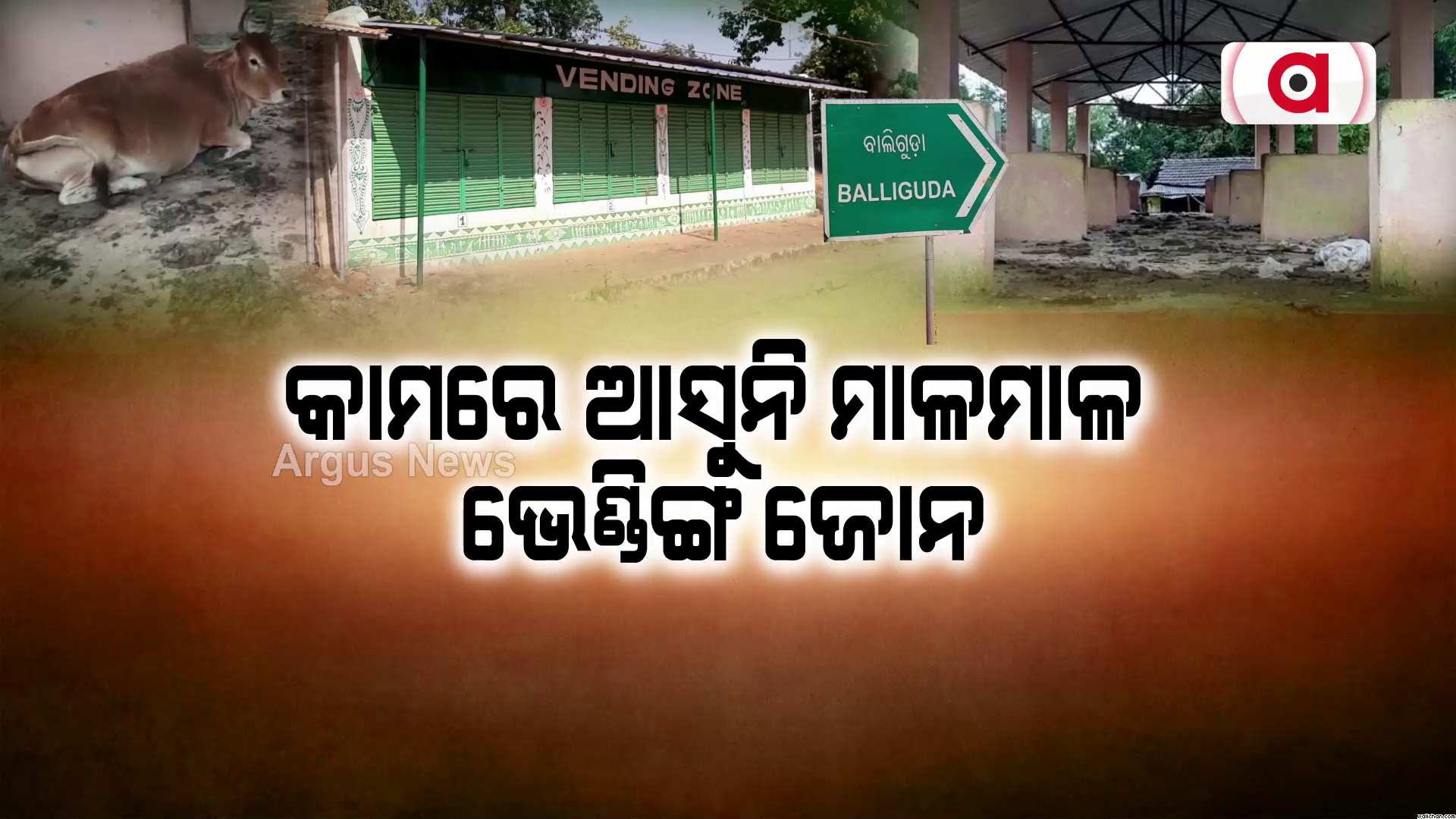 କାମରେ ଆସୁନି ଭେଣ୍ଡି ଜୋନ୍
