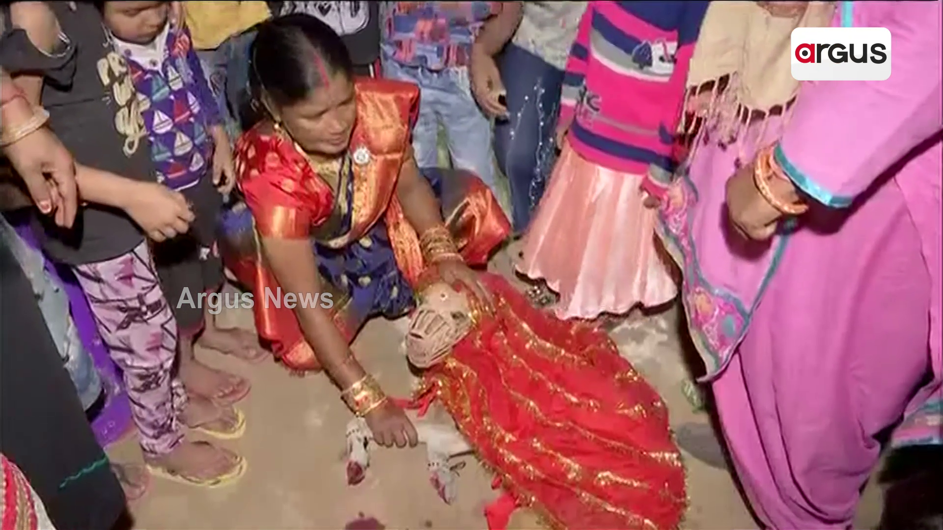 ଧୁମ୍ଧାମ୍ରେ ହେଲା କୁକୁର ବାହାଘର
