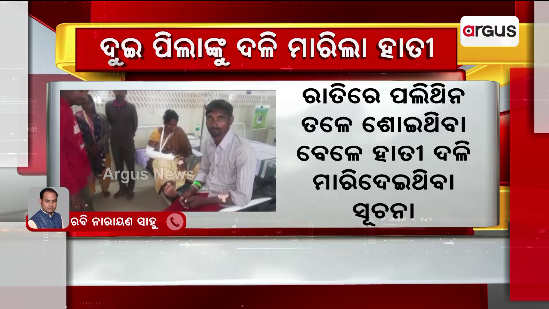 ଦୁଇ ପିଲାଙ୍କୁ ଦଳି ମାରିଲା ହାତୀ