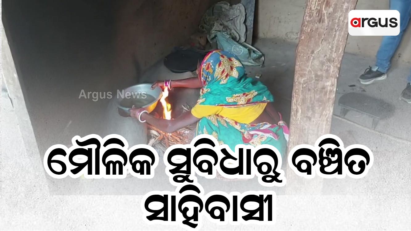 ମୌଳିକ ସୁବିଧାରୁ ବଞ୍ଚିତ ସାହିବାସୀ