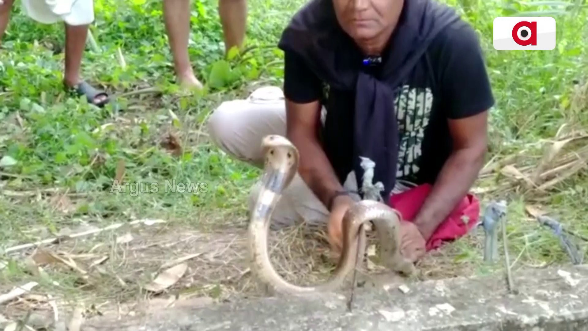 ପାଇଖାନା ଟାଙ୍କିରୁ ଚନ୍ଦ୍ର ନାଗ ଉଦ୍ଧାର