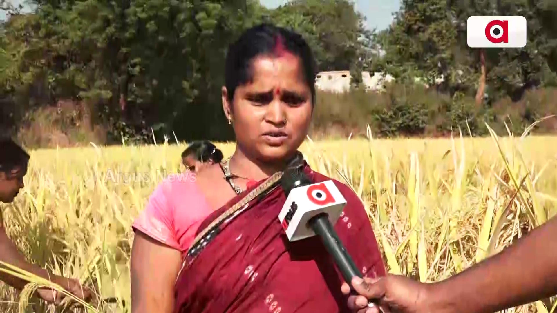 ଉପକୂଳରୁ ଉପାନ୍ତ, ସବୁଠି କାଳିଆ କଳି !