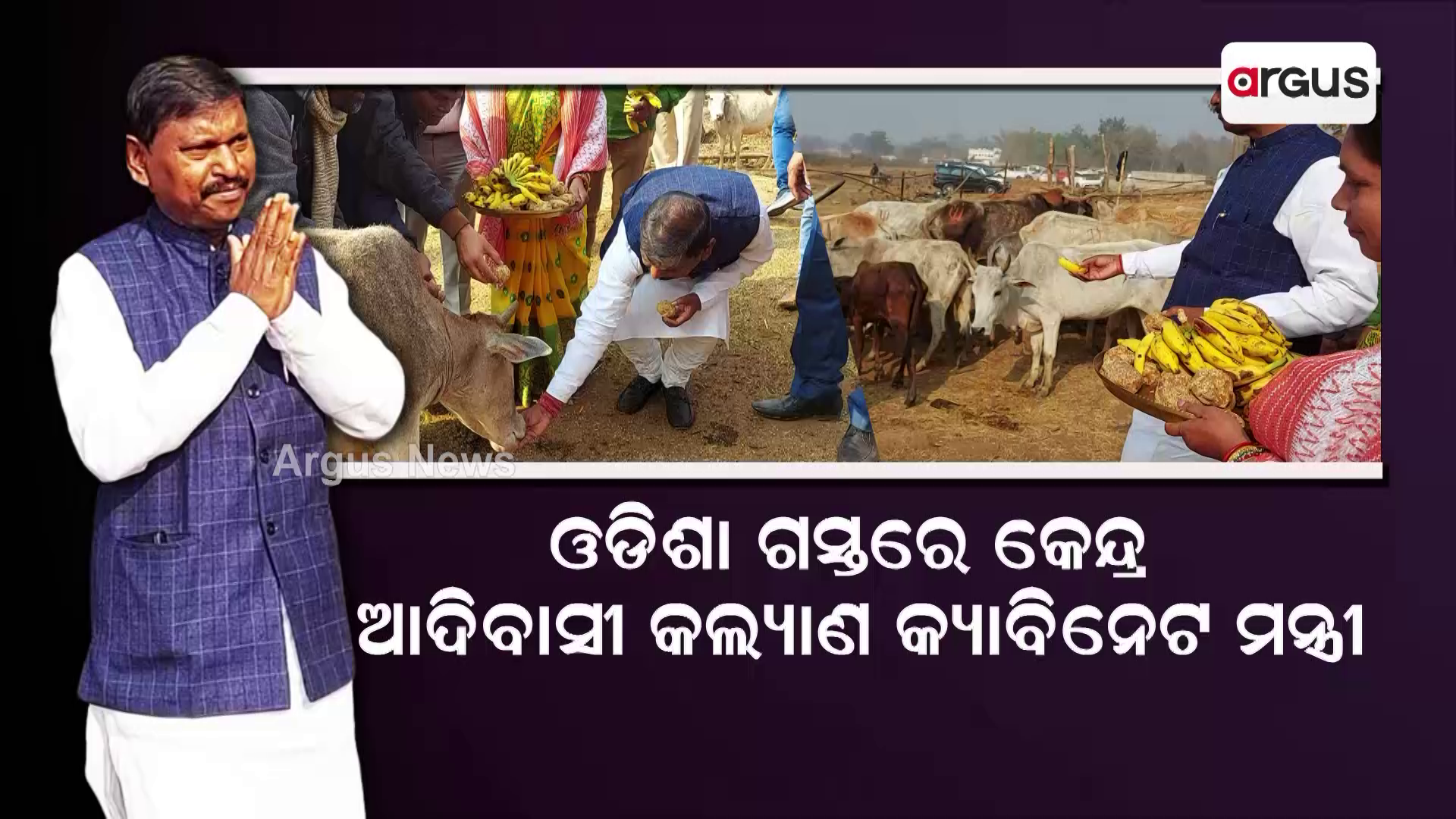 ନିଜ ହାତରେ ଗାେମାତାଙ୍କୁ ଖୁଆଇଲେ ମନ୍ତ୍ରୀ
