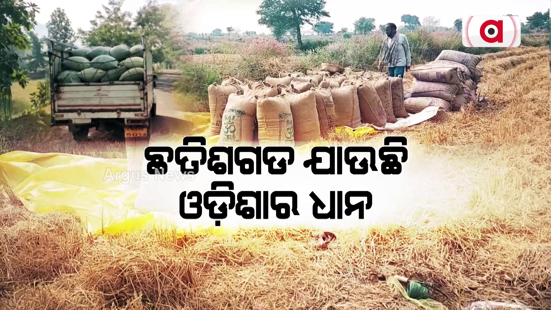 ଛତିଶଗଡ ଯାଉଛି ଓଡ଼ିଶାର ଧାନ
