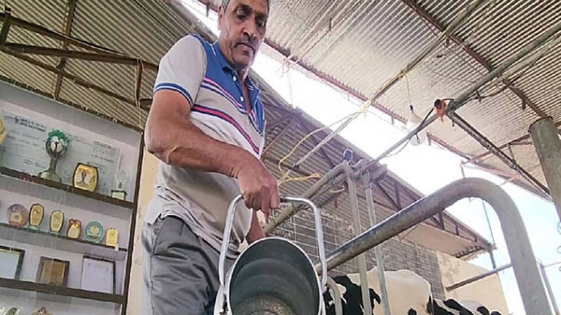 Anand's progressive Dairy Farmers await Vibrant Gujarat Summit