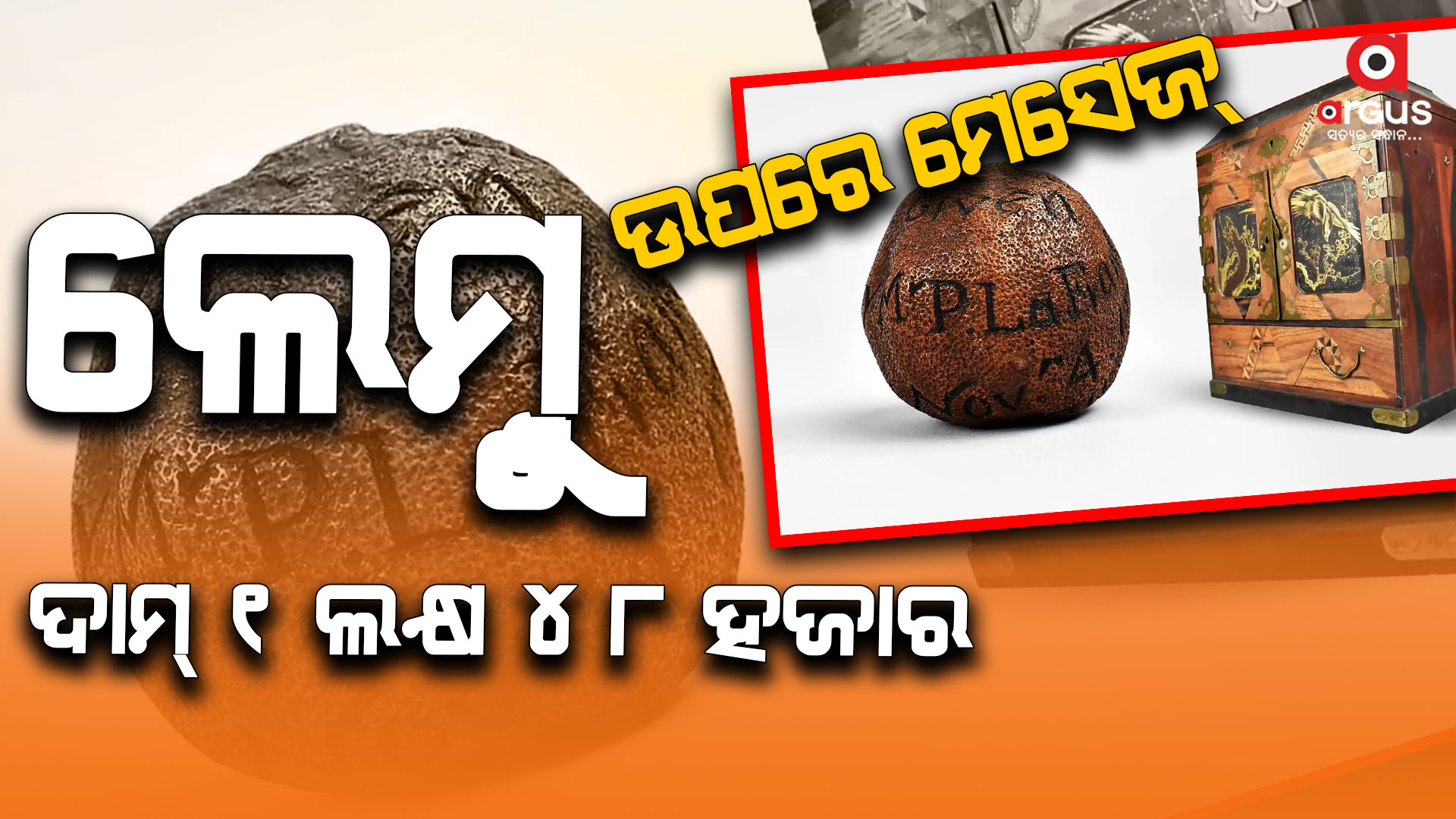 ଆଲମାରୀରୁ ବାହାରିଲା ୨୮୫ ବର୍ଷର ପୁରୁଣା ଲେମ୍ୱୁ