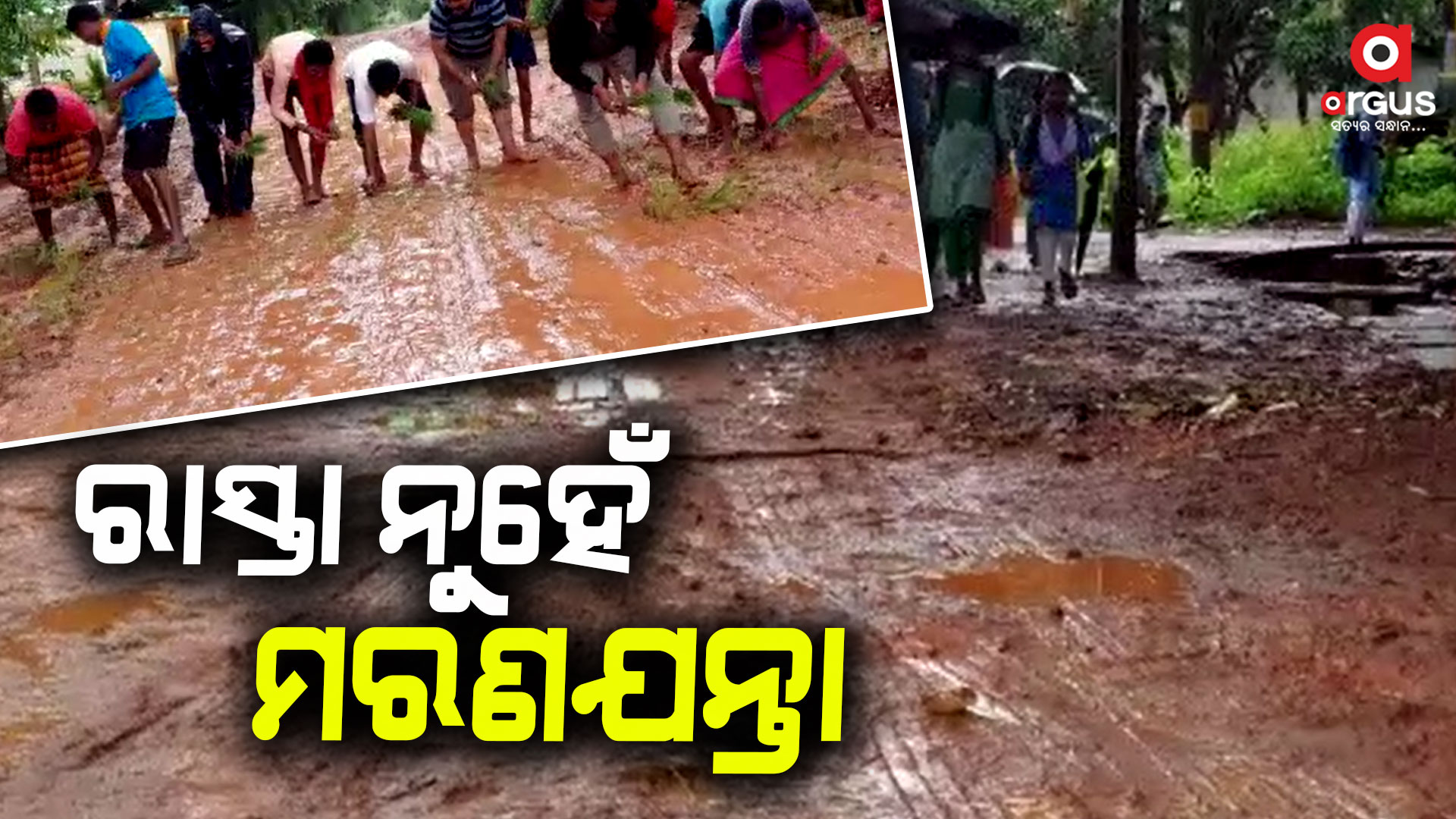 କାଦୁଅ ପଚ ପଚ ରାସ୍ତାରେ ଧାନ ରୋଇଲେ ଗ୍ରାମବାସୀ