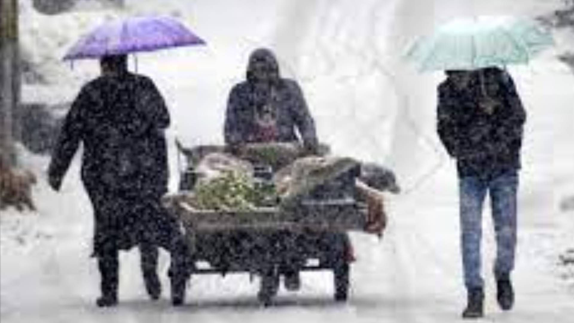 Widespread Rain, Snow Likely In J&K On Nov 29-30