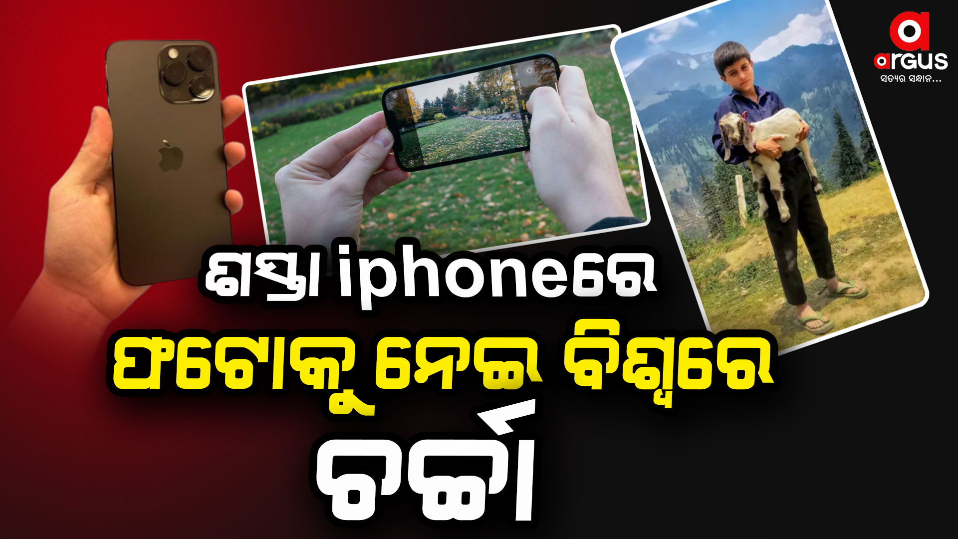 ଶସ୍ତା ଆଇଫୋନରେ ଫଟୋ ଉଠାଇ ଜିତିଲେ ବିଶ୍ବର ହୃଦୟ