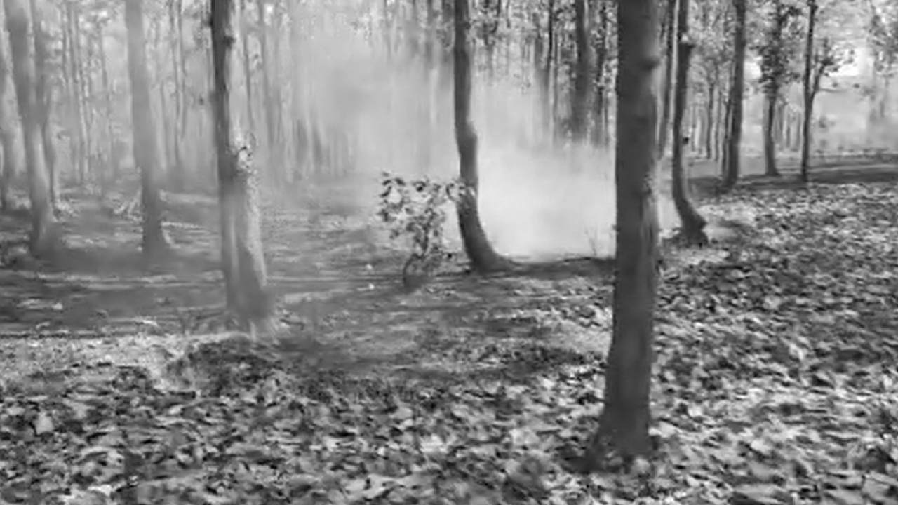 Similipal Forest Fire Spreads To 30 More Points On Second Day In Mayurbhanj