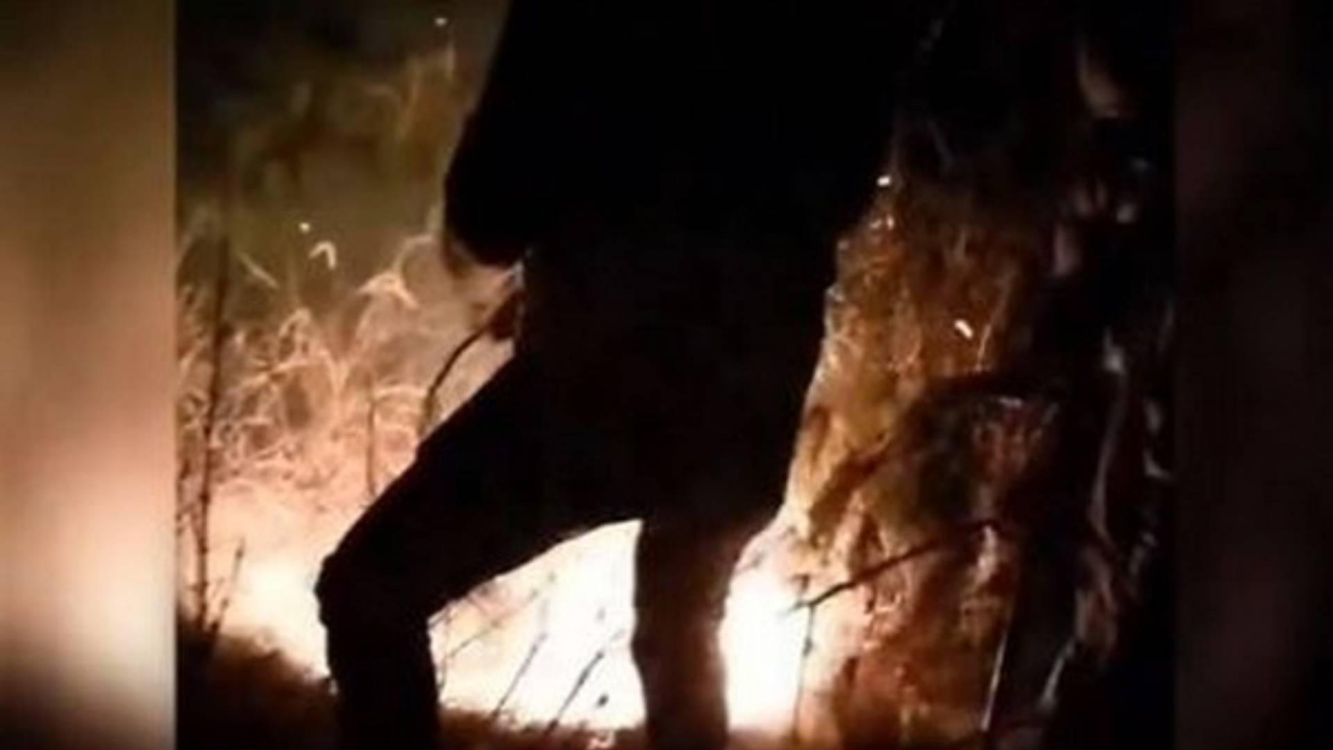 Army Brings Under Control Forest Fire In J-K's Poonch