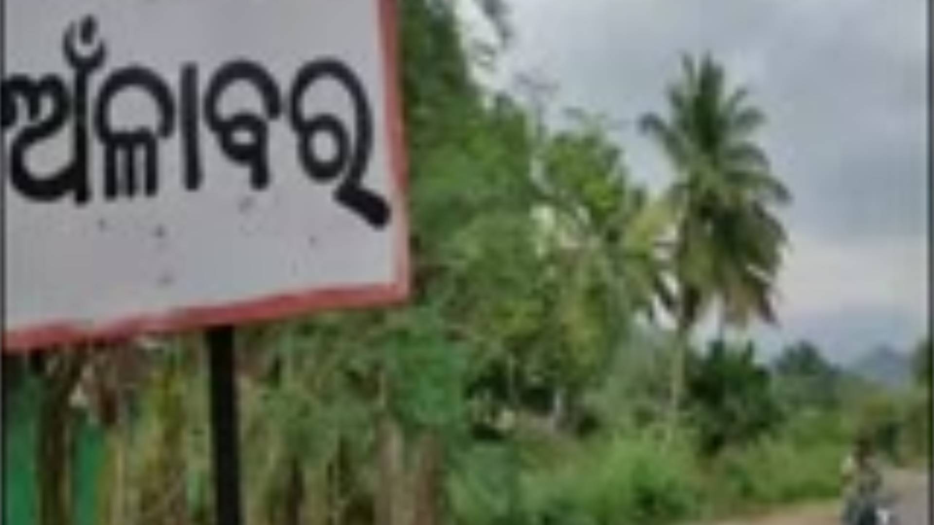 Fear Grips Gajapati Village As Leopard Kills Cow