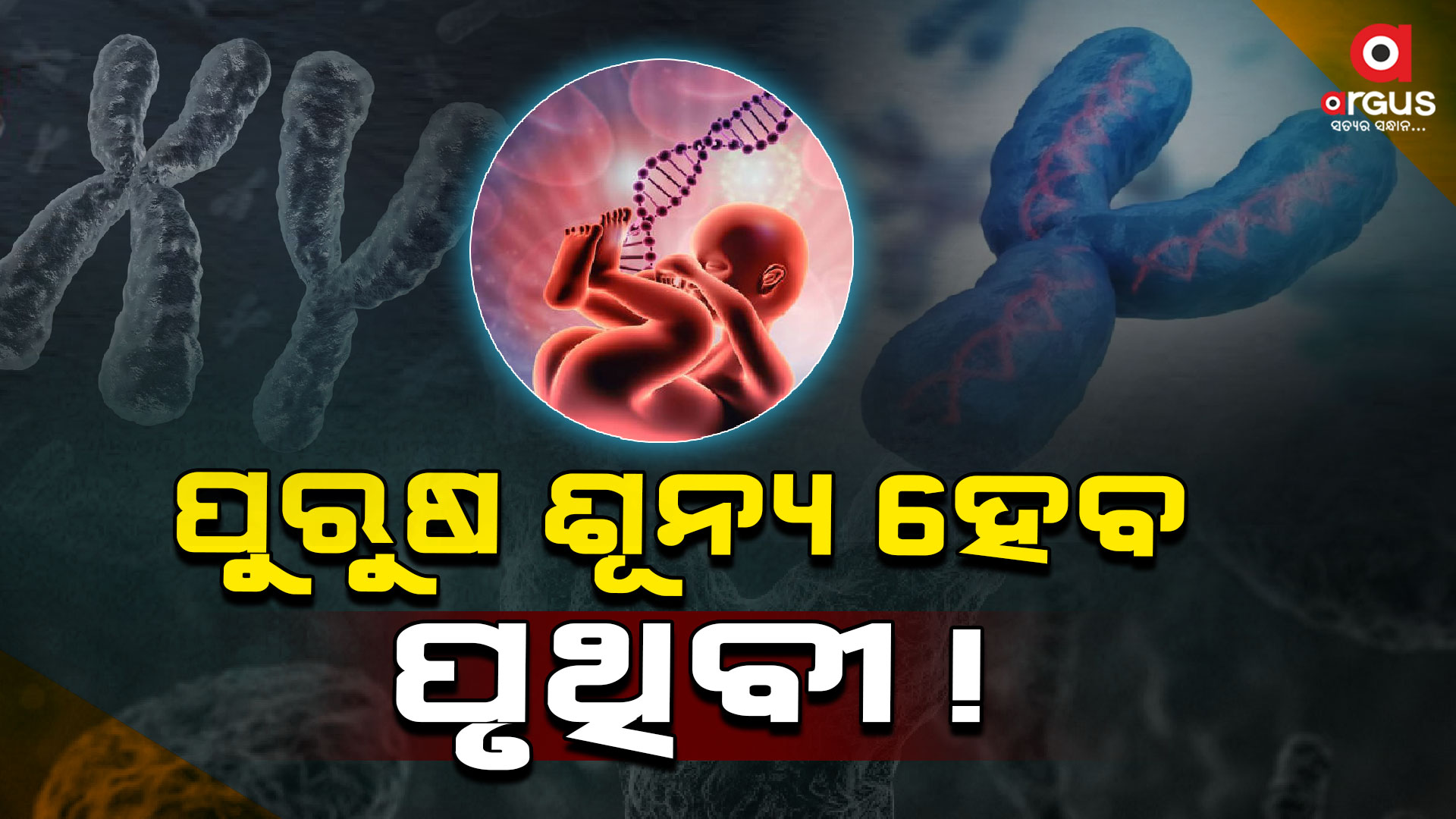 ଧୀରେ ଧୀରେ ହ୍ରାସ ପାଇବାରେ ଲାଗିଛି ଓ୍ବାଇ କ୍ରୋମୋଜୋମ