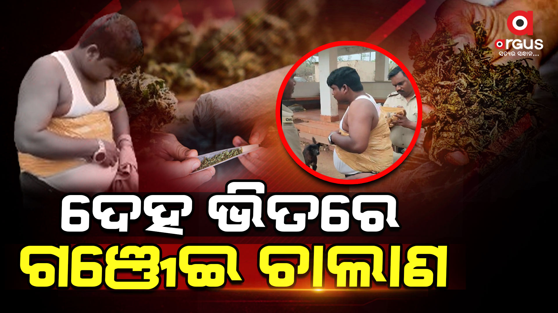 ଫିଲ୍ମ ଷ୍ଟାଇଲରେ ହେଉଛି ଗଞ୍ଜେଇ ଚାଲାଣ