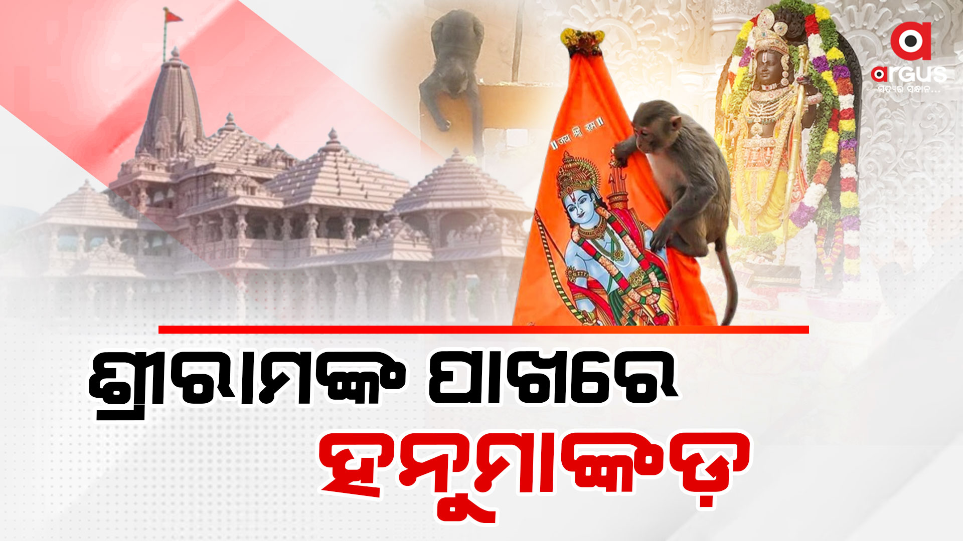 ରାମଲଲାଙ୍କୁ ଦର୍ଶନ କଲେ ହନୁମାନଜୀ: ଅଯୋଧ୍ୟାରୁ ଆସିଲା ଅଲୌକିକ ଚିତ୍ର