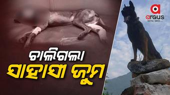 ଜୀବନର ଶେଷ ନିଶ୍ବାସ ଯାଏଁ ଲଢିଲା,ଶେଷରେ ଚାଲିଗଲା