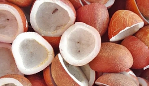 Govt Hikes MSP For Copra