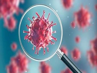 Hybrid immunity best protection against Covid-19: Researchers