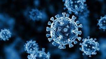 In the next three months, the corona virus infection will reach its peak in China