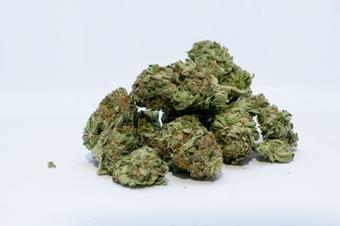 US kids shun alcohol for edible marijuana, reveals 20-year study