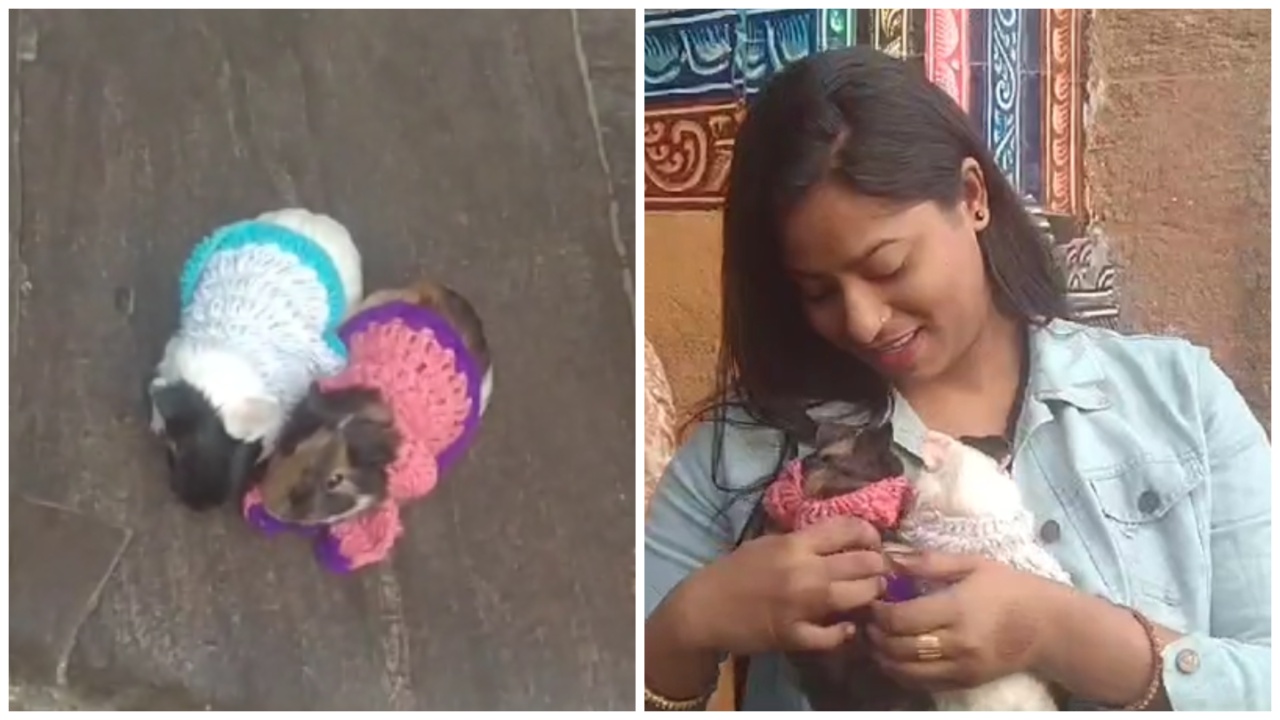 Two Unique Devotees Bow Down To Sri Jagannath In Puri
