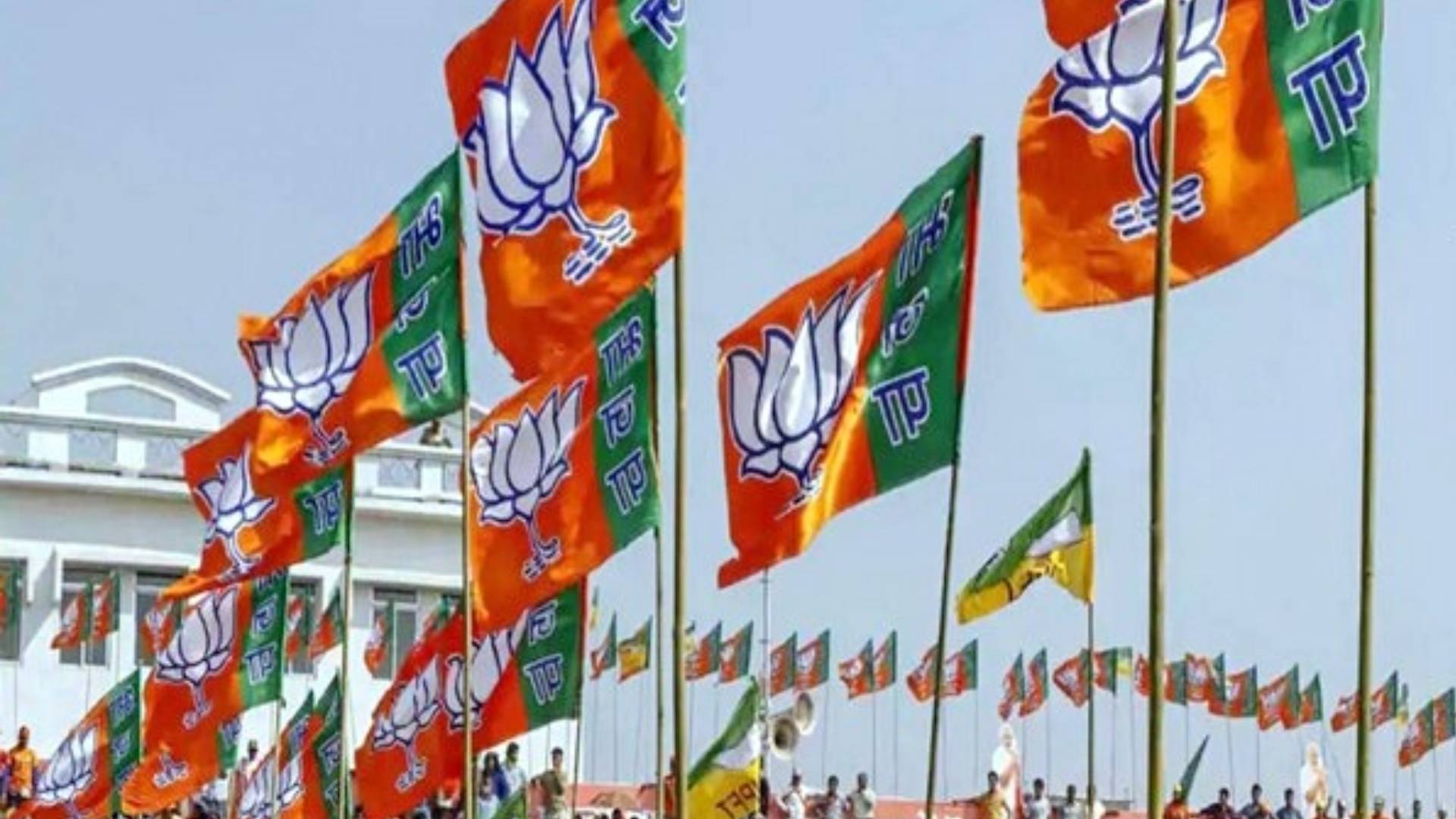 Kiran Singh Dev Appointed As Chhattisgarh BJP President