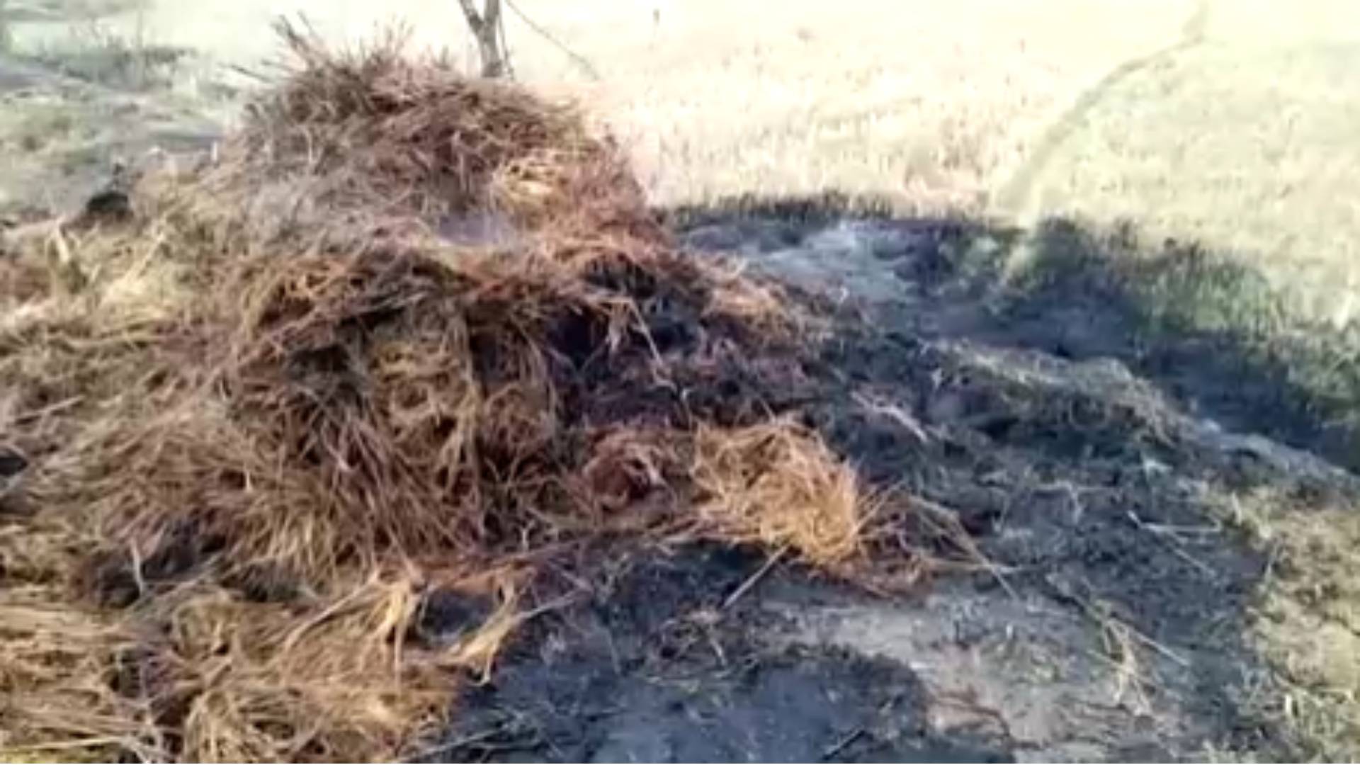 Miscreants Set Harvested Paddy Crops On Fire In Ganjam