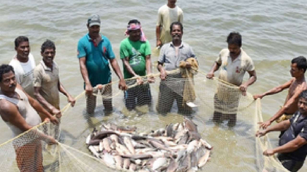 Govt Ropes In ONDC To Bring Fishermen On e-Market Platform