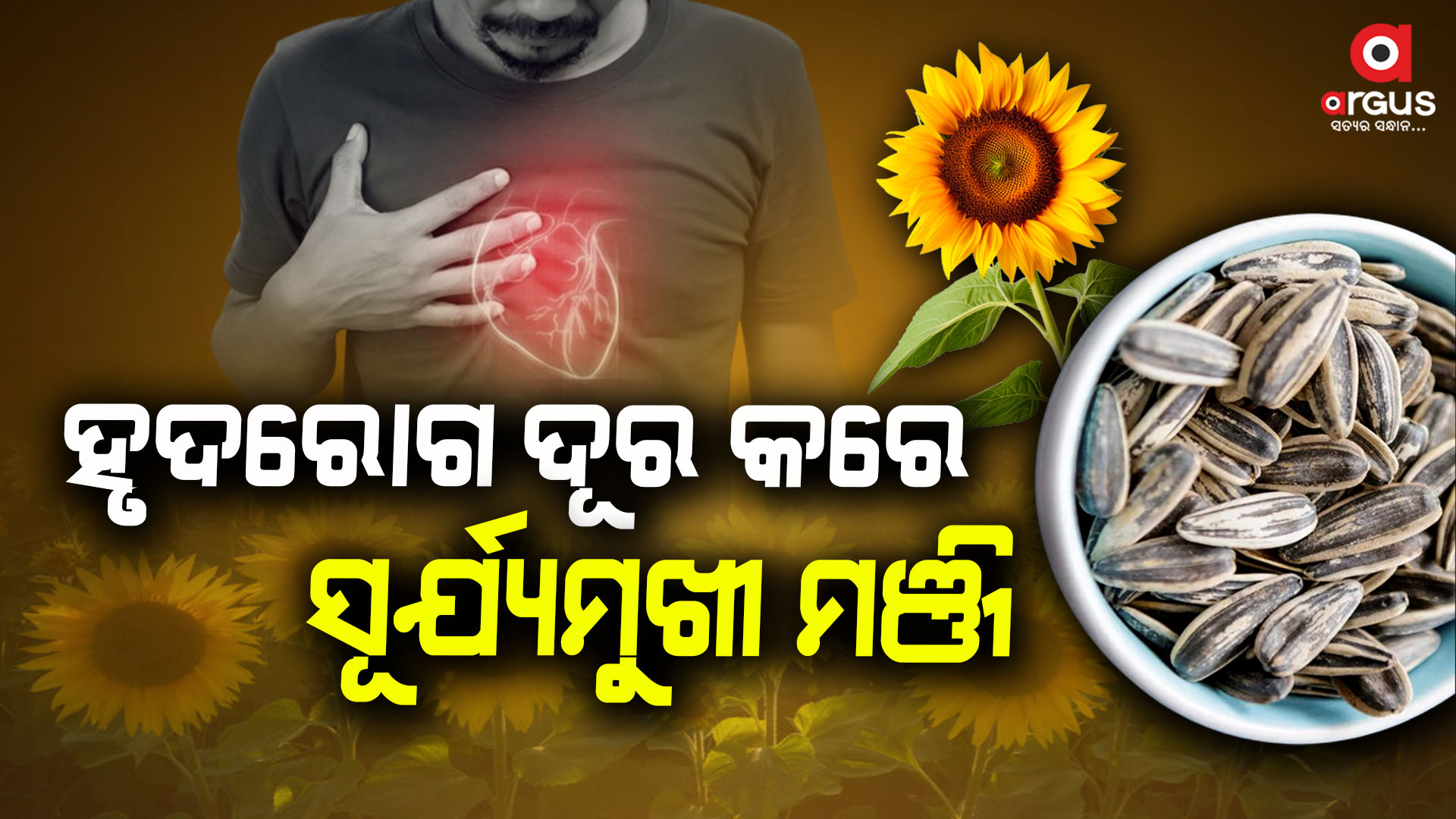 ମୋଟାପଣ ନିୟନ୍ତ୍ରଣ କରେ ସୂର୍ଯ୍ୟମୁଖୀ ମଞ୍ଜି