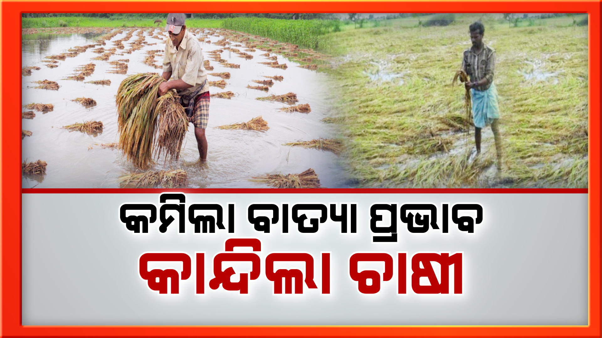 ଓଡ଼ିଶାରୁ ଟଳିଲା ବାତ୍ୟା : ଜୀବନ ବଞ୍ଚିଗଲା କିନ୍ତୁ ବିପନ୍ନ ହେଲା ଜୀବିକା