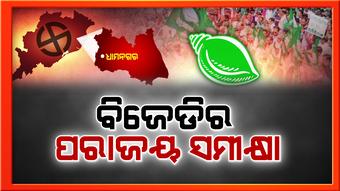 ଧାମନଗର ପରାଜୟର ପୋଷ୍ଟମର୍ଟମ