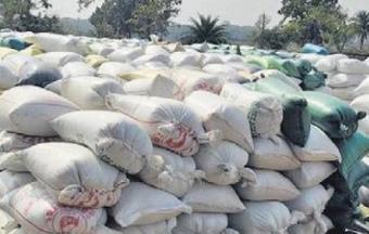 Kalahandi farmers unhappy over delay in paddy procurement