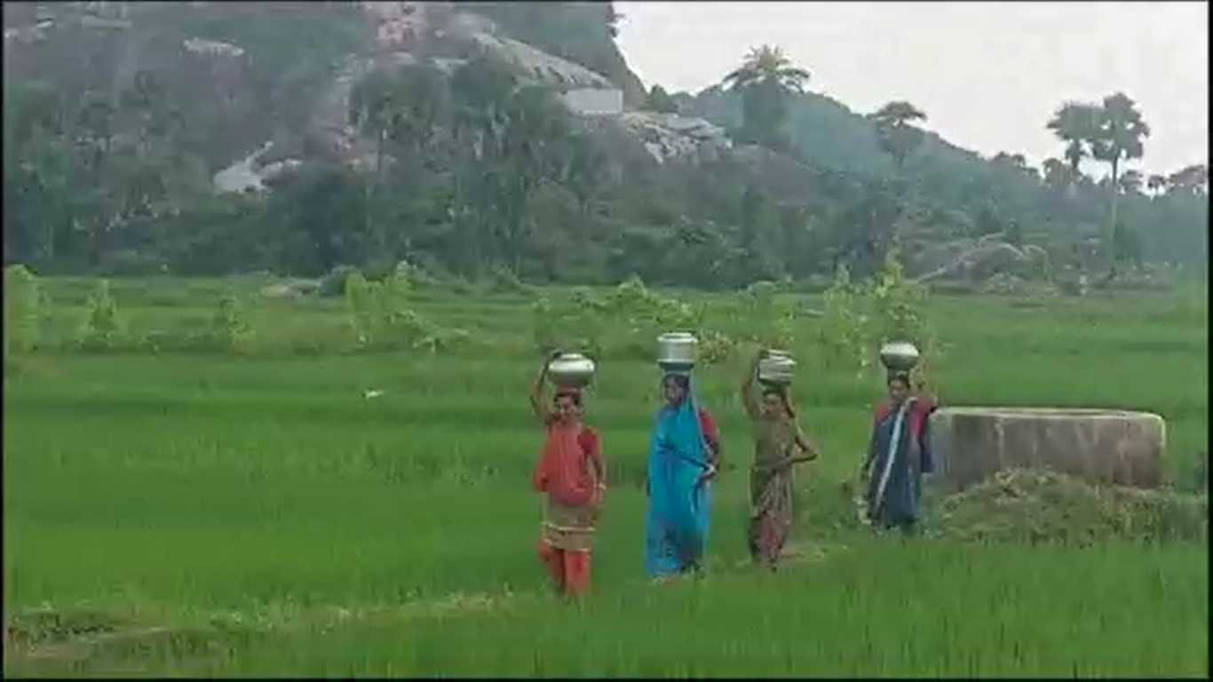 ସମସ୍ୟାରେ ଜୁଝୀ ହେଉଛନ୍ତି ଗ୍ରାମବାସୀ, ବିକାଶ ଠାରୁ ବହୁ ଦୂରରେ ସୀମାନ୍ତ ଅଞ୍ଚଳ ପାର୍ବତୀପୁର