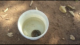 ଖୋର୍ଦ୍ଧା ଜଟଣୀରେ ଫୁଟିଲା ବୋମା