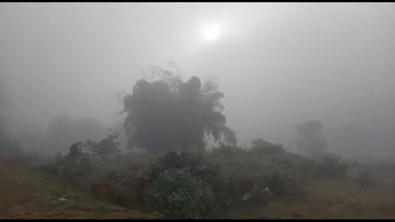 ଥଣ୍ଡାରେ ଥରୁଛି ଓଡ଼ିଶା, ୧୦ ଡିଗ୍ରୀ ତଳେ ୧୦ଟି ସହରର ତାପମାତ୍ରା