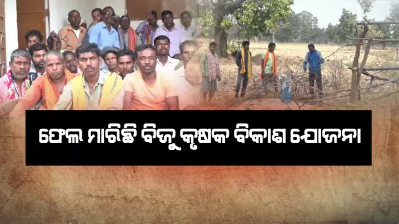 ଆଜି ଯାଏଁ ହୋଇନି ବିଦ୍ୟୁତ ସଂଯୋଗ, ନୂଆପଡ଼ାରେ ନିରାଶ ହୋଇଛନ୍ତି ଚାଷୀ