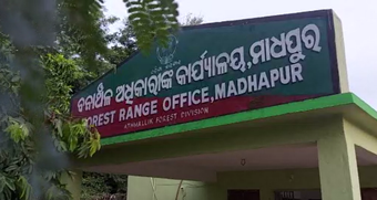 ଅନୁଗୁଳ ମାଧପୁର ରେଞ୍ଜ ମୁଣ୍ଡାପଡାରେ ହାତୀ ମୃତ୍ୟୁ ଘଟଣା