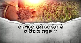 Odisha Govt to Observe Nov 10 as Mandia Divas