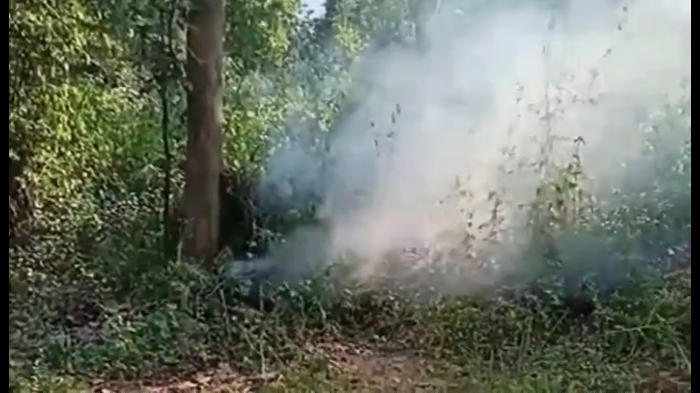 ଗଂଜେଇ ଚାଷ ନଷ୍ଟ କଲା ପୋଲିସ