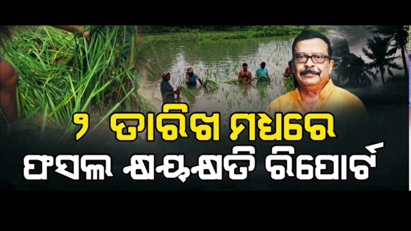 ବାତ୍ୟା ଦାନା ଭାଙ୍ଗି ଦେଲା ଚାଷୀଙ୍କ ମେରୁଦଣ୍ଡ