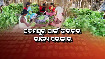 ପଦମପୁର ଉପନିର୍ବାଚନ ପାଇଁ ଇଏ ସରକାରଙ୍କ ମିଛ ଦରଦ ନୁହେଁ ତ ?