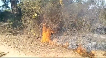 ନିଆଁରେ ଔଷଧୀୟ ବୃକ୍ଷ ସବୁ ପୋଡି ପାଉଁଶ ହୋଇଯାଉଛି