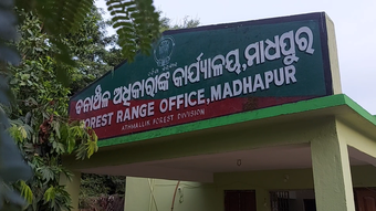 ଅନୁଗୁଳ : ପୁଣି ଆଉ ଏକ ହାତୀର ମିଳିଲା ମୃତଦେହ