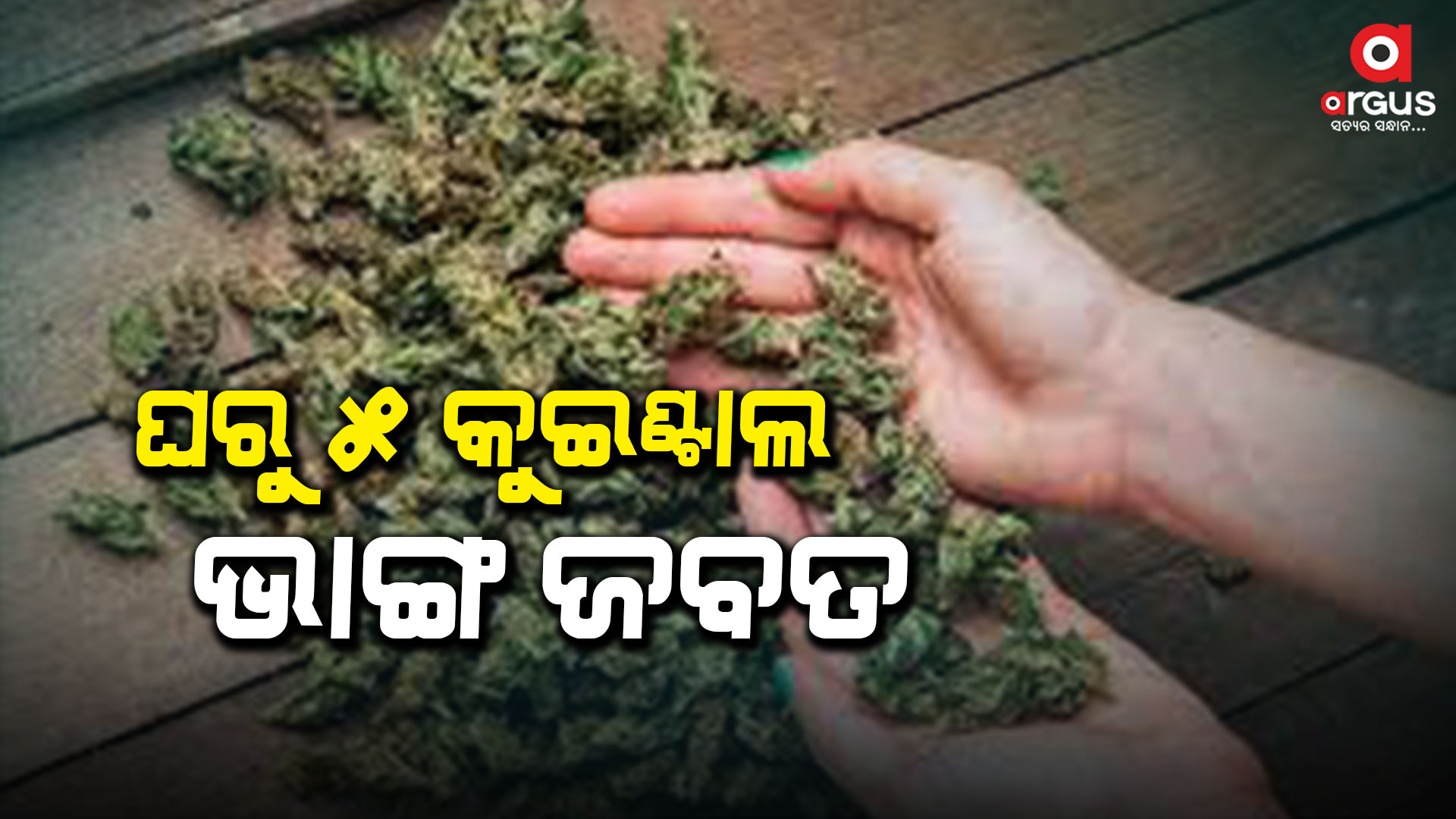 ଗୋଟିଏ ଦିନରେ ଦୁଇ ଦୁଇଟି ସ୍ଥାନରୁ ଗଞ୍ଜେଇ ଜବତ, 4 ଗିରଫ