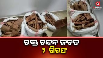 ସିମେଣ୍ଟ ଗୋଦାମରୁ ରକ୍ତ ଚନ୍ଦନ ଜବତ