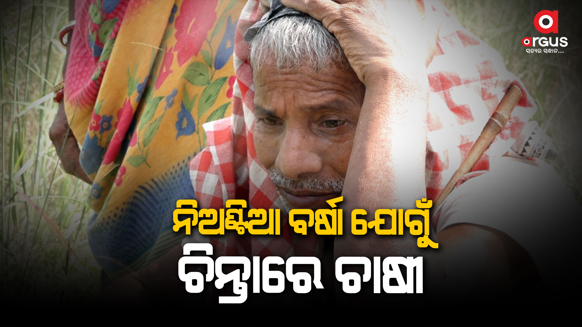 ନିଅଣ୍ଟିଆ ବର୍ଷା ଯୋଗୁଁ ଚିନ୍ତାରେ ଚାଷୀ